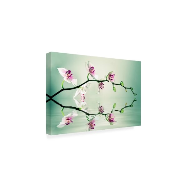 Lee Sie 'Pink FloralZen' Canvas Art,22x32